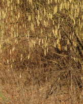 Stephan-Redel-0153-1039-08518