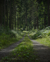 Stephan-Redel-0154-879-0619