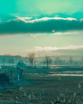 Stephan-Redel-0155-1038-08430