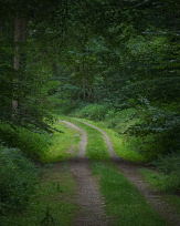 Stephan-Redel-0156-1062-00825