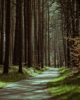 Stephan-Redel-0157-1047-08978