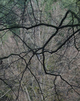 Stephan-Redel-0158-1034-07661