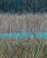 Stephan-Redel-0159-990-08289