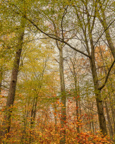 Stephan-Redel-0162-988-07884