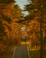 Stephan-Redel-0164-930-02457