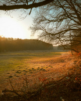 Stephan-Redel-0166-951-03870