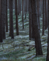 Stephan-Redel-0167-908-08151