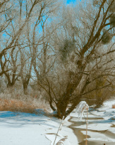 Stephan-Redel-0169-950-03494