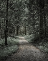 Stephan-Redel-0170-1063-01340