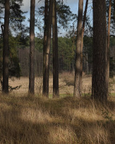 Stephan-Redel-0171-1037-08324