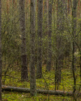 Stephan-Redel-0172-1005-00536