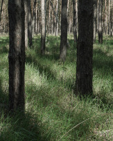 Stephan-Redel-0173-907-08048