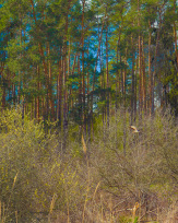 Stephan-Redel-0174-908-08088