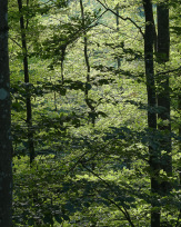 Stephan-Redel-0176-1063-01350