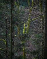 Stephan-Redel-0178-1034-07671