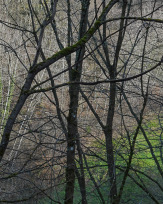 Stephan-Redel-0180-1034-07654