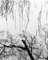 Stephan-Redel-0181-893-03757