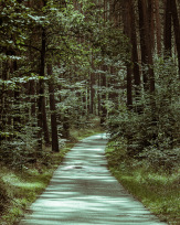 Stephan-Redel-0182-1025-04719