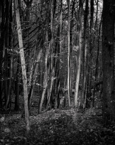 Stephan-Redel-0184-988-07899