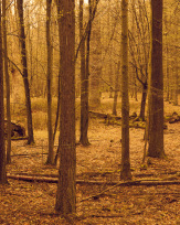 Stephan-Redel-0188-1005-00543