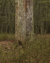 Stephan-Redel-0191-1005-00548