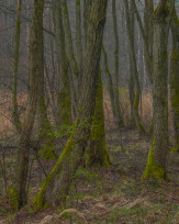 Stephan-Redel-0193-1005-00478