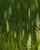 Stephan-Redel-0195-1014-02199