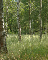 Stephan-Redel-0196-1014-02184