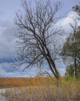 Stephan-Redel-0197-849-03917