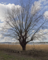 Stephan-Redel-0198-998-08790