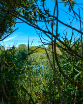 Stephan-Redel-0200-1017-03630