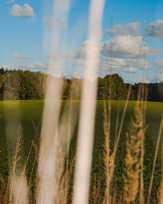 Stephan-Redel-0201-1026-06543