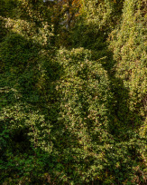 Stephan-Redel-0203-692-4119