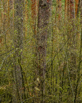Stephan-Redel-0204-1005-00539
