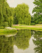Stephan-Redel-0206-1009-01664