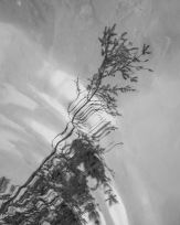 Stephan-Redel-0207-839-6057