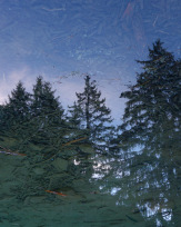 Stephan-Redel-0208-794-02883