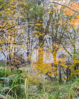 Stephan-Redel-0209-989-1029