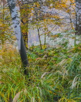 Stephan-Redel-0210-989-1036