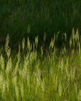 Stephan-Redel-0214-1014-02192