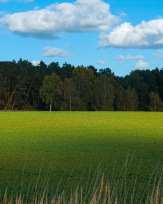 Stephan-Redel-0214-1026-06539