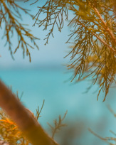 Stephan-Redel-0215-959-0647