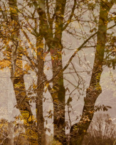 Stephan-Redel-0217-989-1045