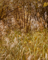 Stephan-Redel-0218-989-1025