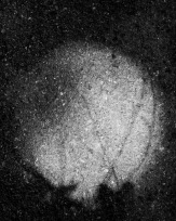 Stephan-Redel-0220-608-1234