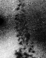 Stephan-Redel-0221-608-1243