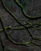 Stephan-Redel-0223-1034-07676