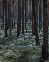 Stephan-Redel-0225-908-08148