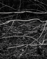 Stephan-Redel-0226-850-04160