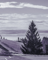 Stephan-Redel-0227-1032-07596